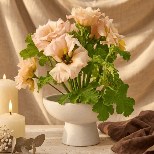 Vase coupe blanc